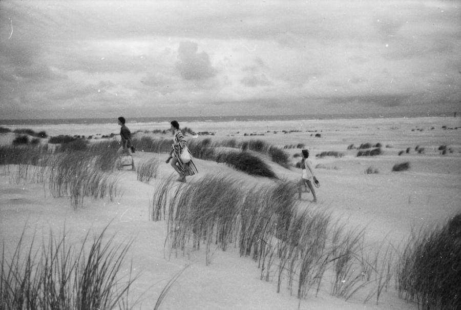 1955 - Mühlenstrasse 1955 - Dünen