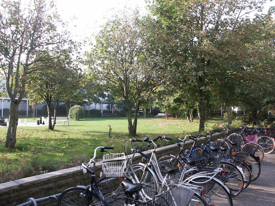 1955 - Mühlenstrasse 2003 - Am Kurmittelhaus / Kurgarten