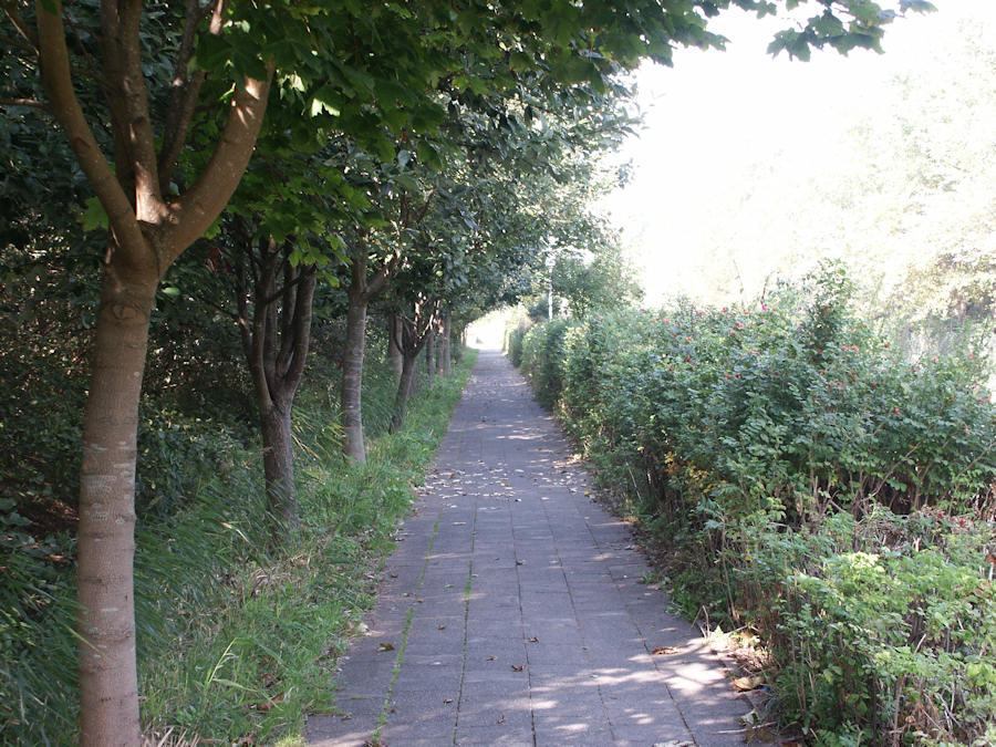 2003 - Mühlenstrasse