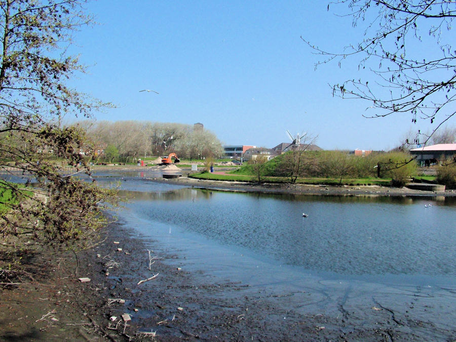 2005 - Sanierung / Säuberung Gondelteich 2005 - Sanierung / Säuberung Gondelteich