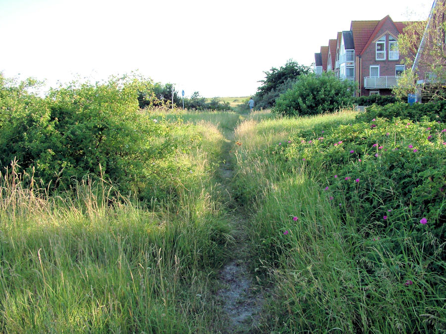 2006 - Up Süderdün