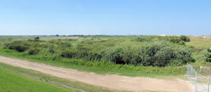 Vogelschutzgebiet (08.08.2004) Vogelschutzgebiet (08.08.2004)