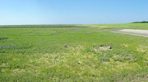 Blickrichtung Hafen/Stadt (08.08.2004) Blickrichtung Hafen/Stadt (08.08.2004)