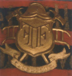 Helmemblem mit Namen Norderney