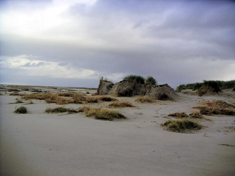 Orkanflut 31.10./01.11.2006 - Sturmflutschäden