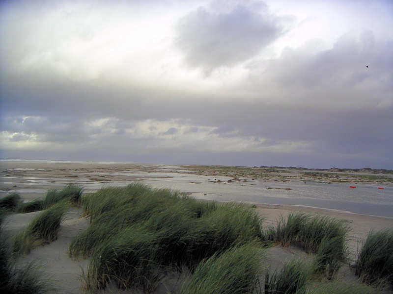 Orkanflut 31.10./01.11.2006 - Sturmflutschäden