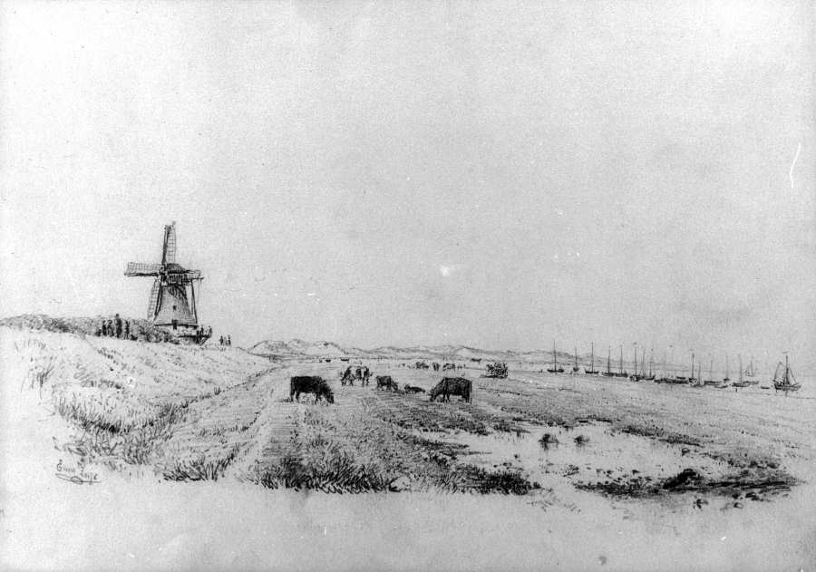 Inselwindmühle Inselwindmühle