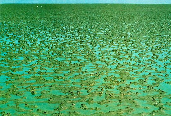 hochgelegene Sandwattfläche hochgelegene Sandwattfläche