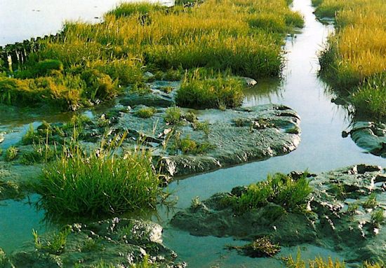 Im Schutze der Lahnung