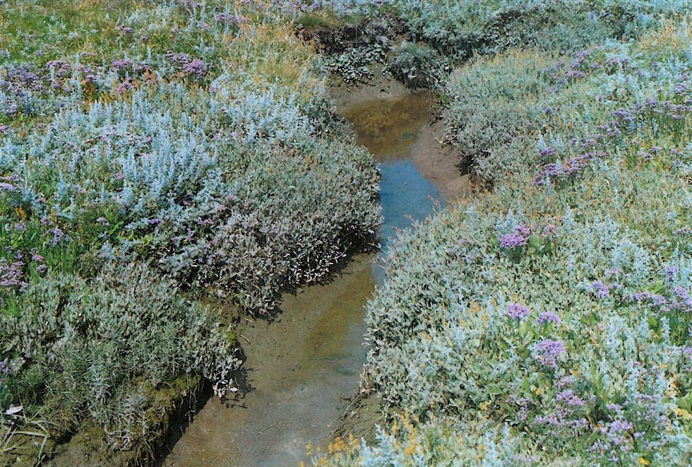 Strand-Salzmelde Strand-Salzmelde