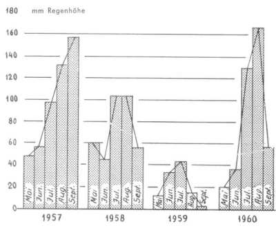 Regenhöhe Regenhöhe