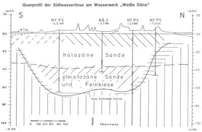Süsswasserlinse
